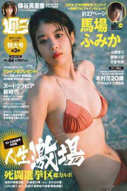 真探秦先生电视剧